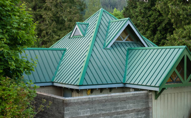 Best Skylight Installation and Repair  in Vevay, IN