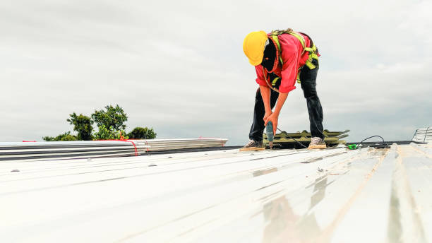 Best Asphalt Shingles Roofing  in Vevay, IN